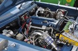 DSC_5674.jpg