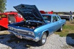 DSC_7394.jpg
