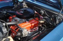 DSC_7395.jpg