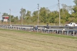 DSC_7547.jpg