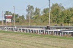 DSC_7564.jpg