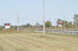 DSC_7631.jpg