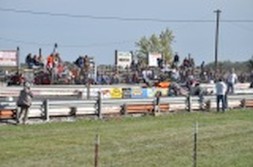 DSC_7809.jpg