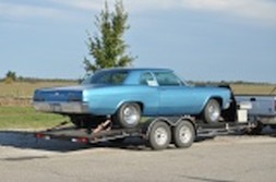 DSC_7936.jpg