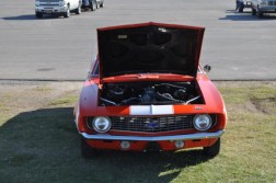 DSC_2898.jpg