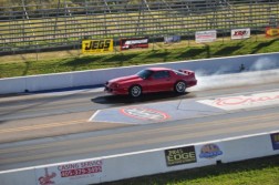 DSC_2980.jpg