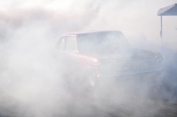 DSC_3037.jpg