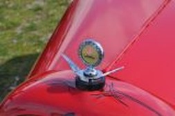 DSC_4319.jpg