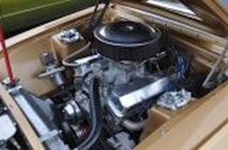 DSC_0856.jpg