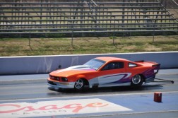 DSC_5932.jpg