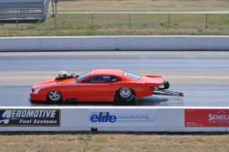 DSC_5938.jpg