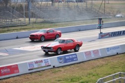 DSC_6111.jpg