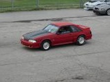 DSC02217.jpg