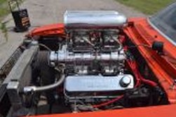 DSC_5918.jpg