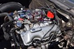 DSC_1421.jpg