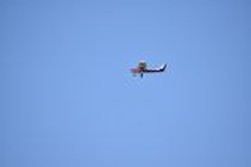 DSC_1659.jpg