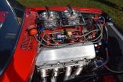 DSC_5559.jpg
