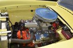 DSC_5570.jpg