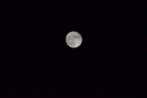 DSC_1877.jpg