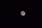DSC_1879.jpg