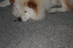 DSC_1933.jpg