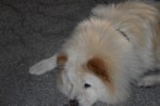 DSC_1934.jpg