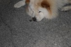 DSC_1935.jpg