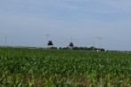 DSC_7177.jpg