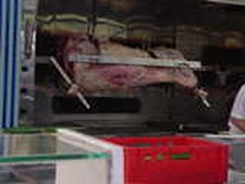 DSC01924.jpg