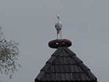 DSC02058.jpg