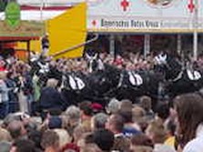 DSC02086.jpg