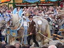 DSC02091.jpg