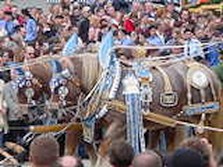 DSC02092.jpg