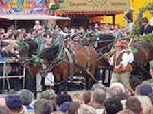 DSC02100.jpg