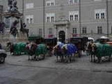 DSC02232.jpg