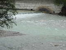 DSC02337.jpg