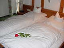 DSC02345.jpg