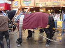 DSC02388.jpg