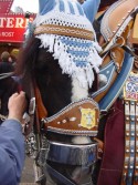 DSC02390.jpg
