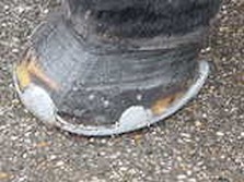 DSC02392.jpg