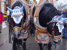 DSC02394.jpg