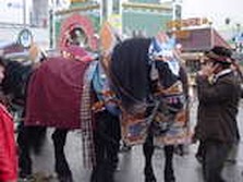 DSC02396.jpg
