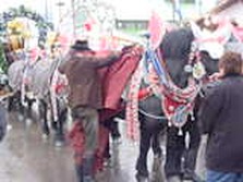 DSC02414.jpg
