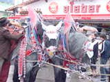DSC02417.jpg