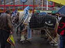 DSC02419.jpg