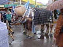 DSC02422.jpg