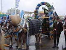 DSC02426.jpg