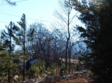 DSC06368.jpg