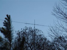 DSC06369.jpg