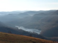 DSC06438.jpg